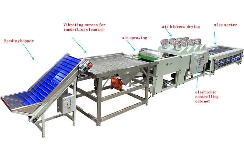 images/1648800282292jujudes sorter.jpg